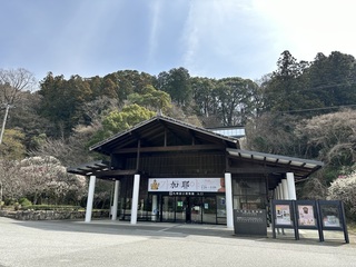 IMG_5270.jpeg