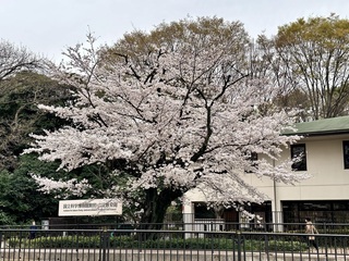 IMG_5374.jpeg